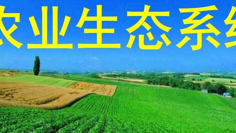 合作社章程范本：构建规范养殖合作社的基石
