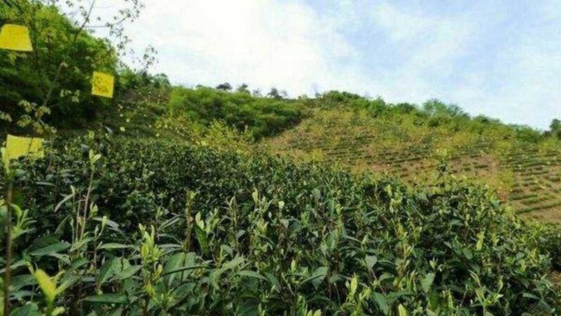 果蔬配送加盟代理费用主要包括以下几个方面：
