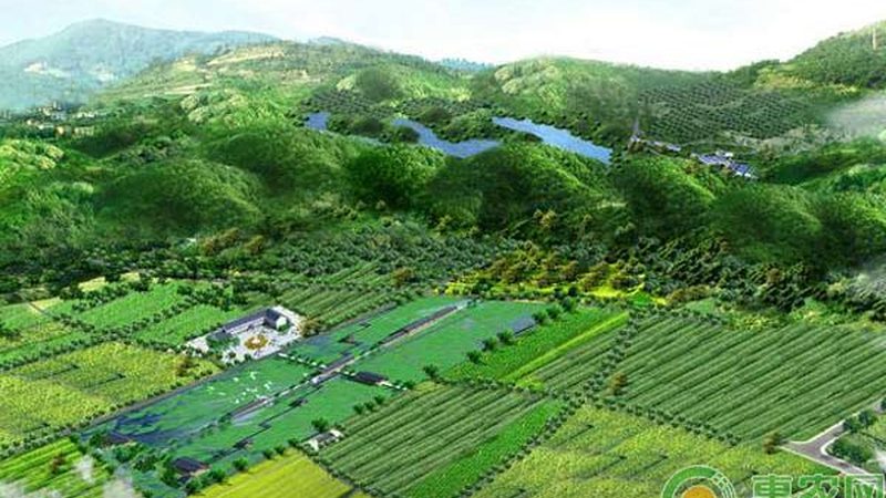 上海生态农业设备直销厂家：揭秘高效农业的秘密武器