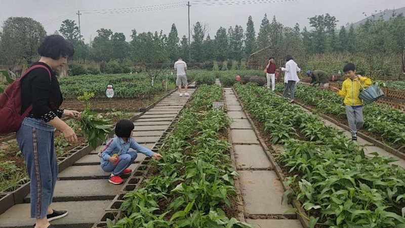 饲料采购：价格与质量的微妙平衡