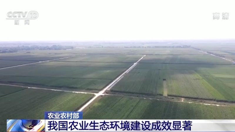 生态农业种植公司排名背后的考量因素