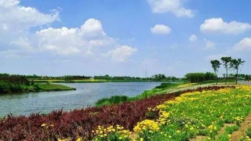 农场研学基地：收费标准背后的考量因素**