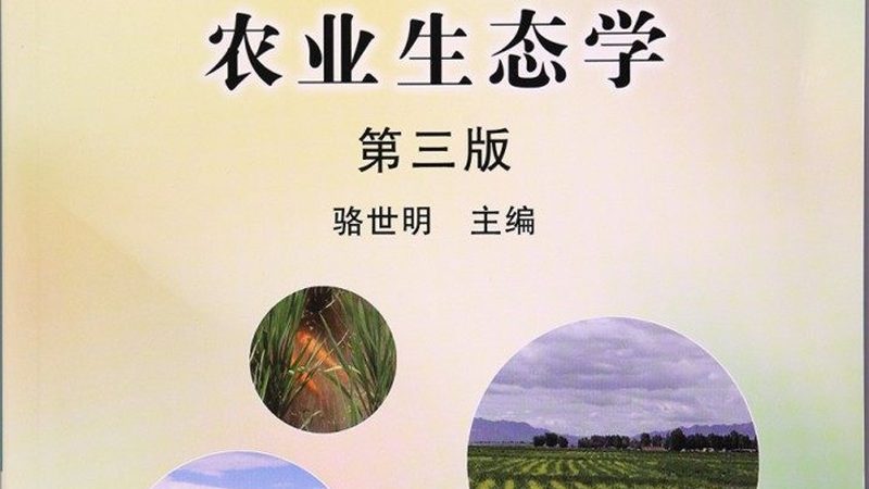 蔬菜绿色食品认证流程：从田间到餐桌的安全保障