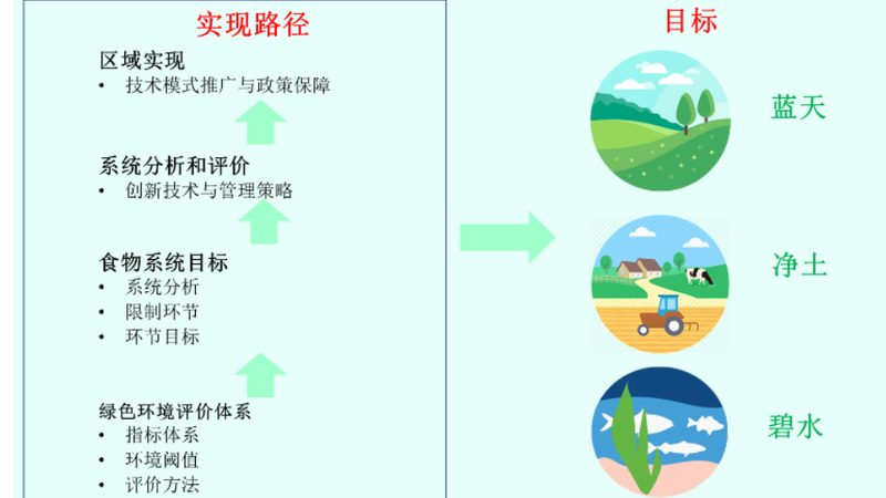 粮食种子批发，如何避免陷入价格陷阱？**