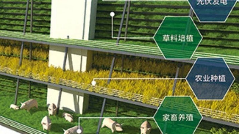 合作社之路：农民专业合作社成立全流程解析