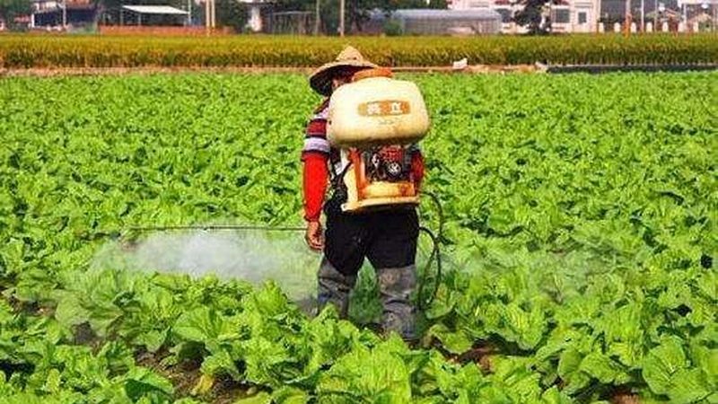 进口农产品批发清关流程全解析