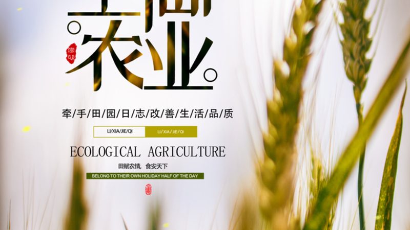 家庭农场果园管理机型号推荐